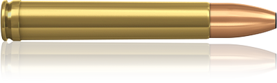 - Køb riffelpatroner - Riffelpatroner - 20111202 458winmagswift ny400detalj